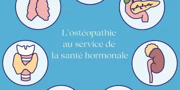 L’ostéopathie au service de la santé hormonale : un accompagnement global pour les femmes et les hommes