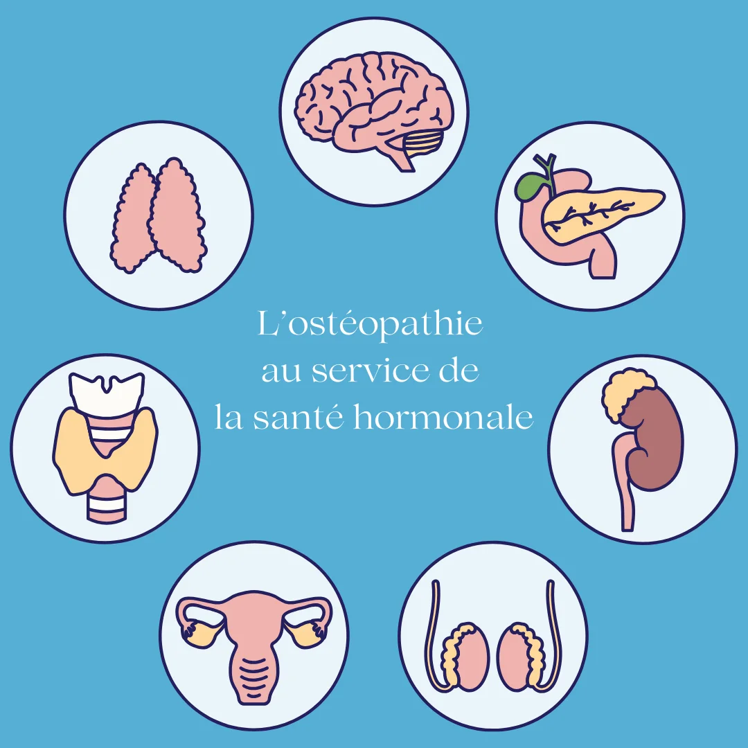 andropause menopause sopk endometriose